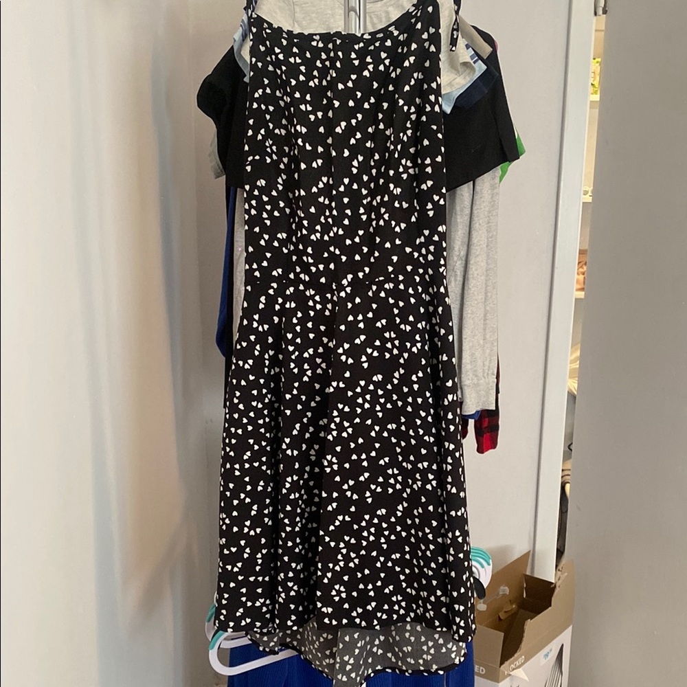 Francesca's Collections Black and White Dress
